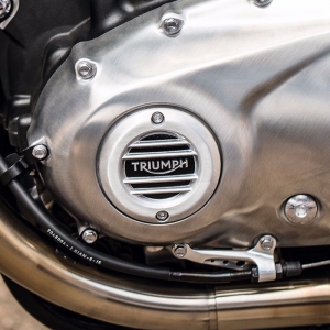 stemma coperchio frizione Triumph Classic