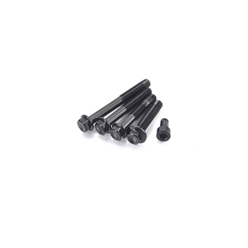 Black screws for clutch, alternator and sprocket cover